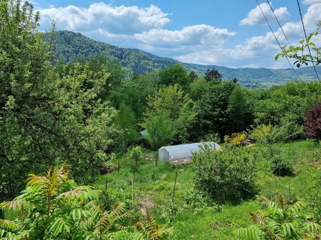 Maison vente à Épinal, Le Thillot