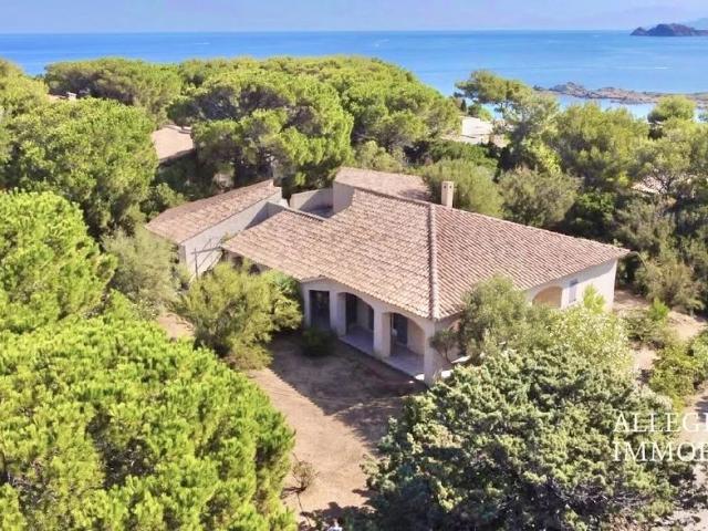 Maison vente à France métropolitaine, Corbara