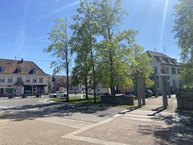 Maison vente à Bartenheim, Collectivité européenne d'Alsace