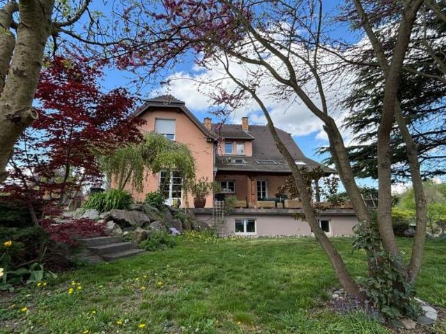Maison vente à Colmar-Ribeauvillé, Colmar