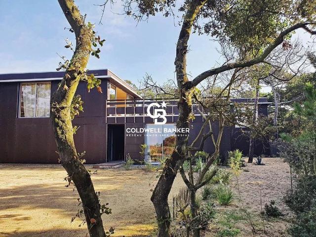 Maison vente à France métropolitaine, Château-d'olonne