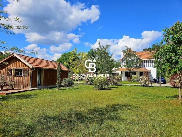 Maison vente à France métropolitaine, Sanguinet