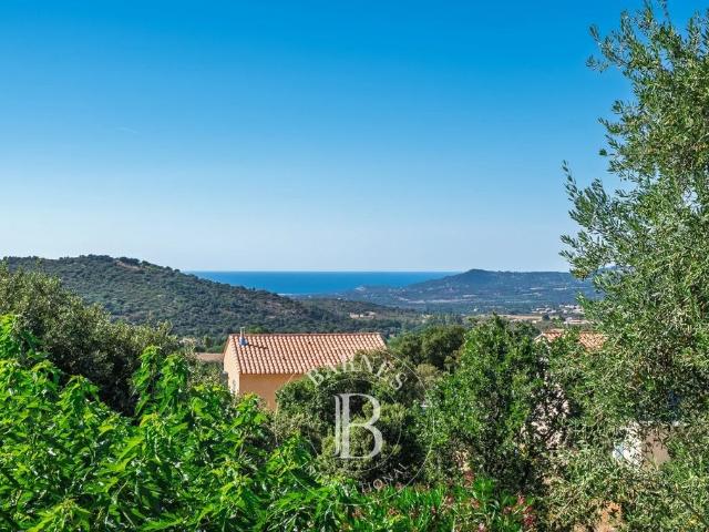 Maison vente à Calvi