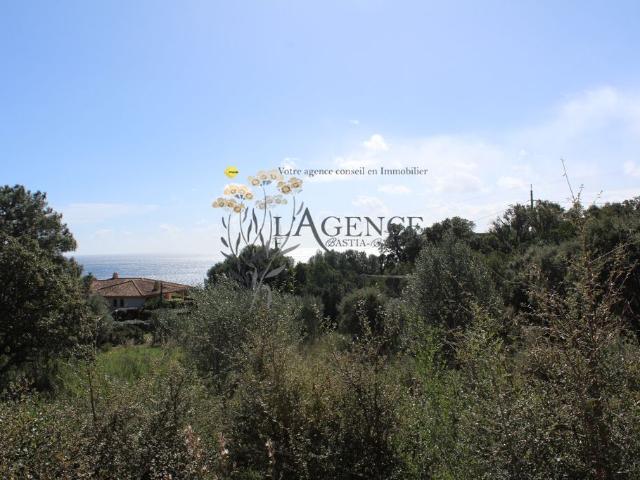 Maison vente à Sartène, Porto-vecchio