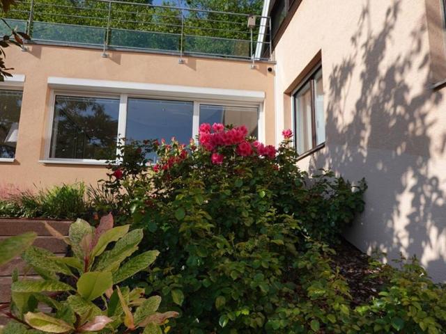 Maison vente à Colmar-Ribeauvillé, Wintzenheim