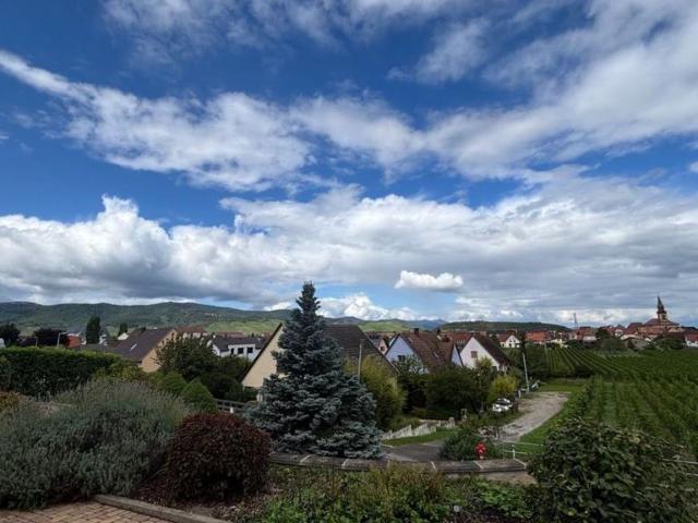 Maison vente à Colmar-Ribeauvillé, Wintzenheim
