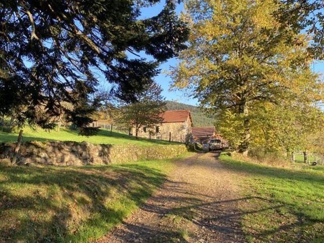 Maison vente à Thiers, Augerolles