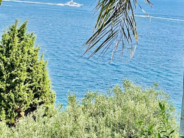 Maison vente à France métropolitaine, Cap-d'ail