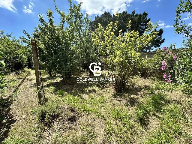 Maison vente à France métropolitaine, Château-d'olonne