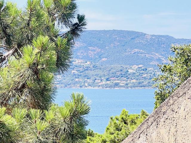Maison vente à Sartène, Lecci
