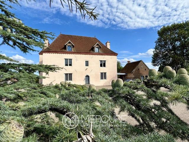 Château vente à Chalon-sur-Saône, Chalon-sur-saône