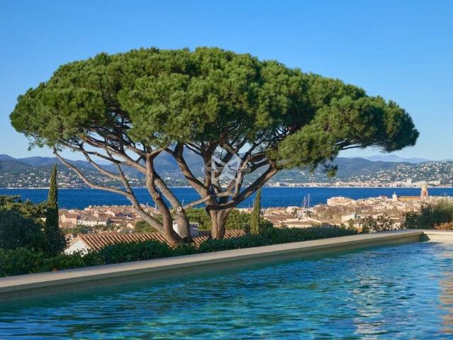 Maison vente à Arrondissement de Draguignan, Saint-tropez