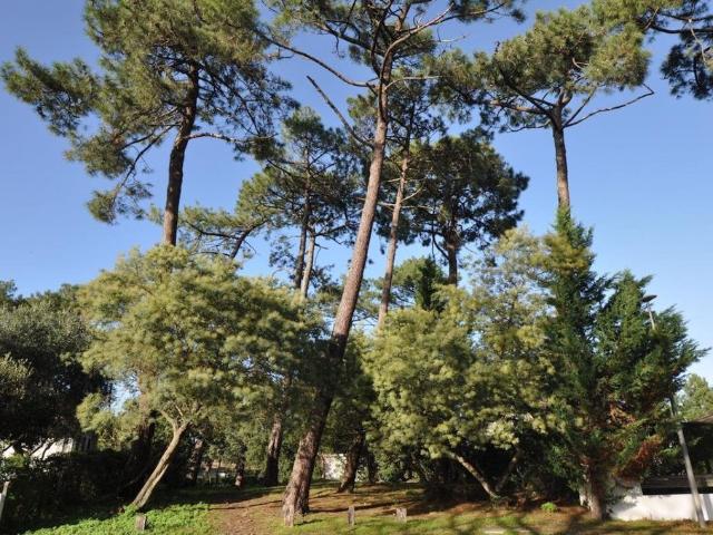 Maison vente à Arcachon