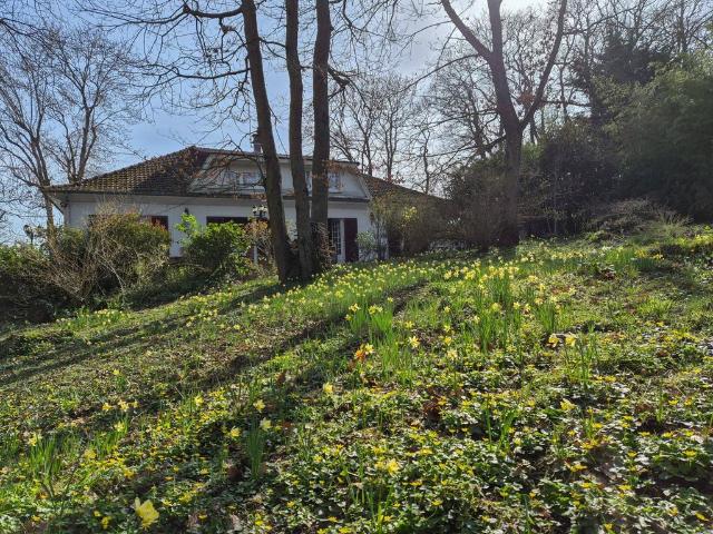 Maison vente à Palaiseau, Marcoussis