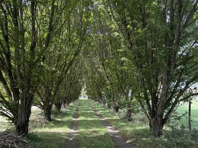 Maison vente à Muret, Le Fousseret