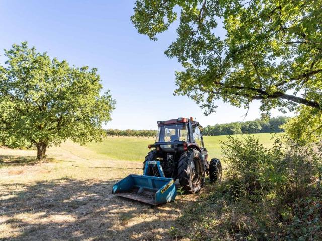 Maison vente à Villeneuve-sur-Lot, Tournon-d'agenais