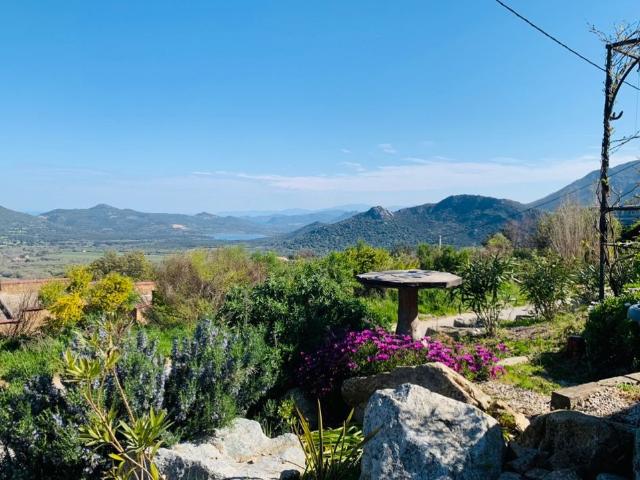 Maison vente à Calvi, Muro