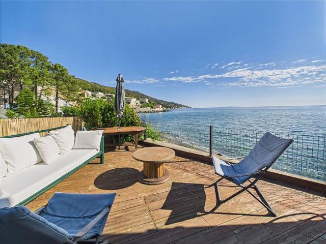 Maison vente à France métropolitaine, Brando