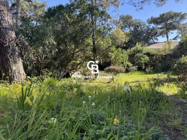 Maison vente à Lège-cap-ferret, Gironde