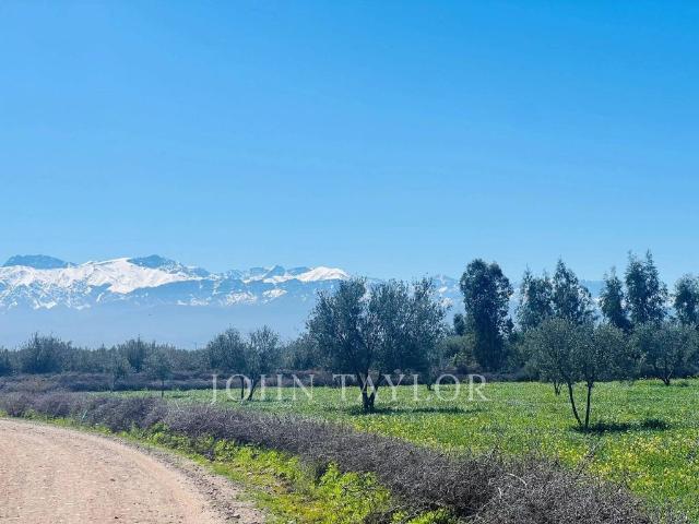 Maison vente à Marrakech, L'Oriental