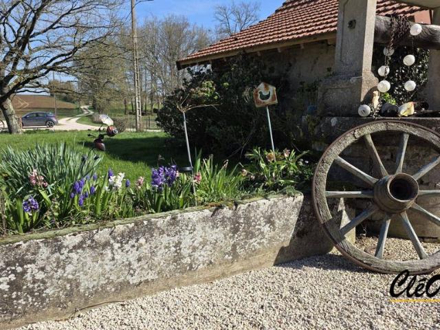 Maison vente à Louhans-Châteaurenaud, Mouthier-en-bresse