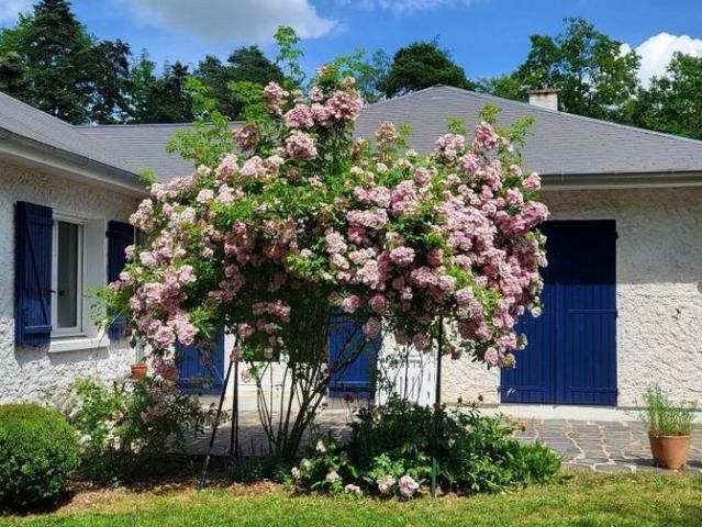 Maison vente à Pithiviers, Loiret