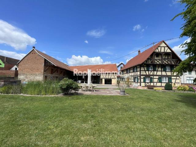 Maison vente à Saverne, Saessolsheim
