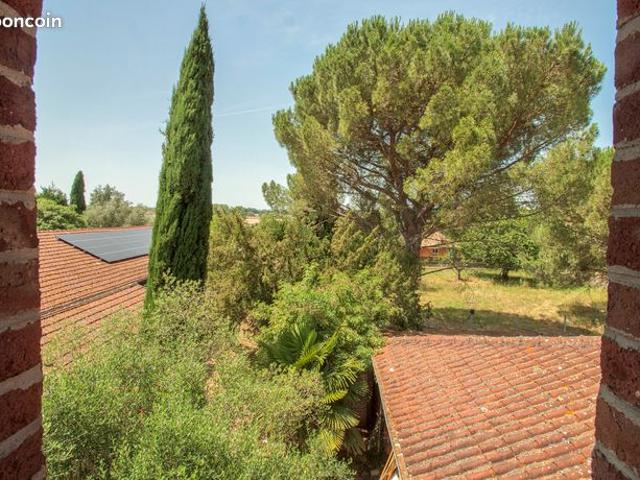 Maison vente à Albi, Coufouleux