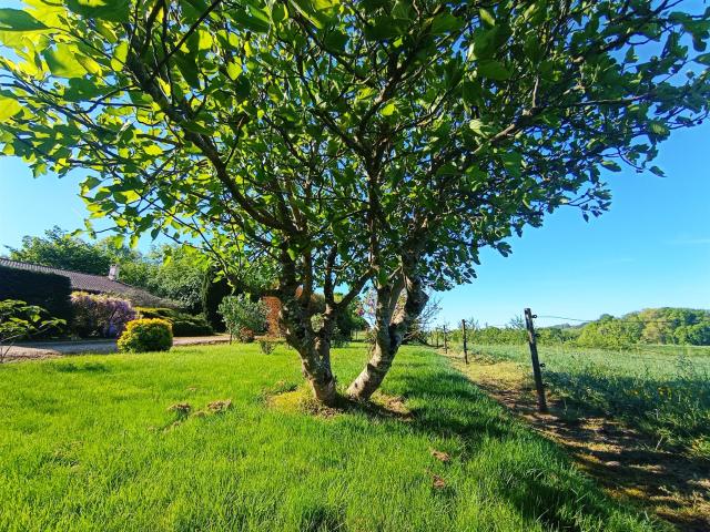 Maison vente à Villeneuve-sur-Lot, Nouvelle-Aquitaine