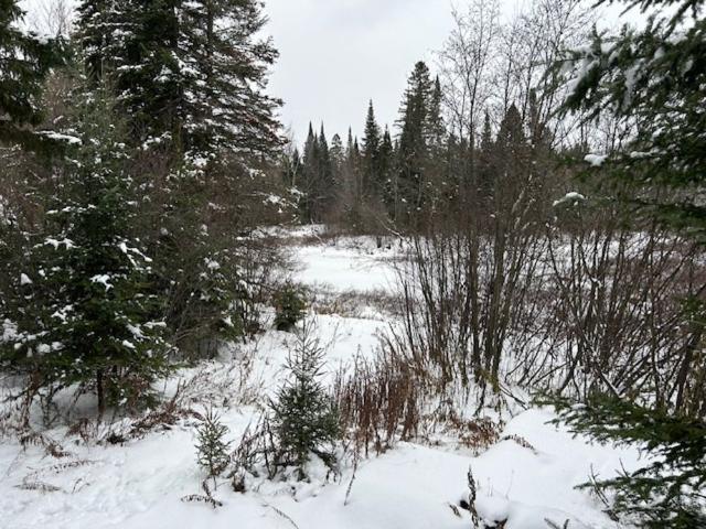 House for rent in Laurentides, Quebec