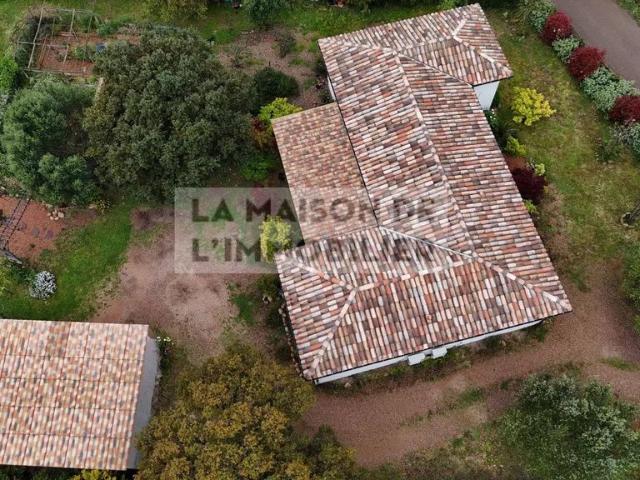Maison vente à Sartène, Figari