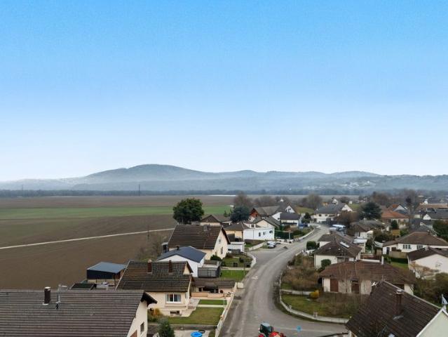 Maison vente à Mulhouse, Petit-landau