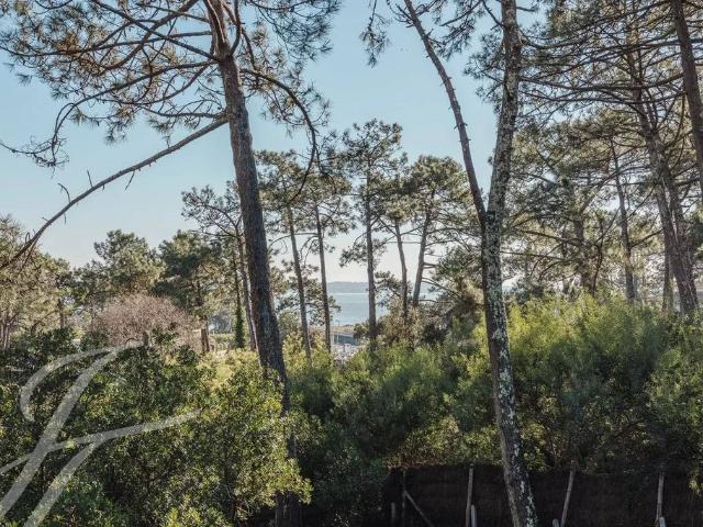 Maison vente à Lège-cap-ferret, Gironde