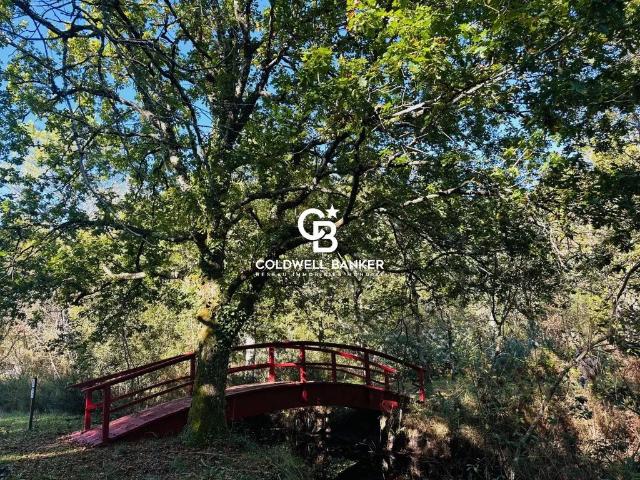 Maison vente à Lesparre-médoc, Gironde