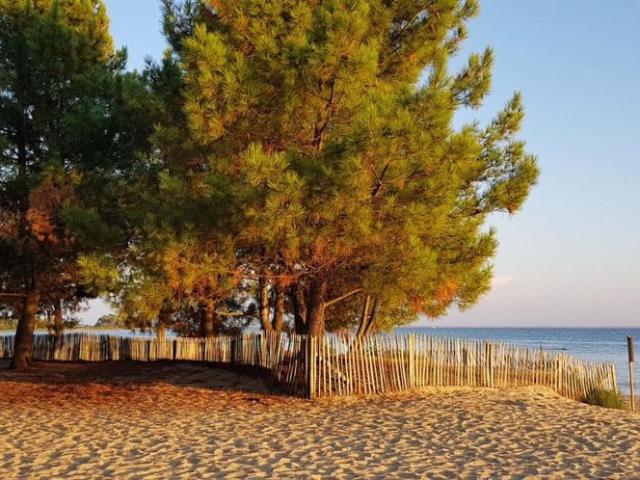 Maison vente à Arcachon, Arès