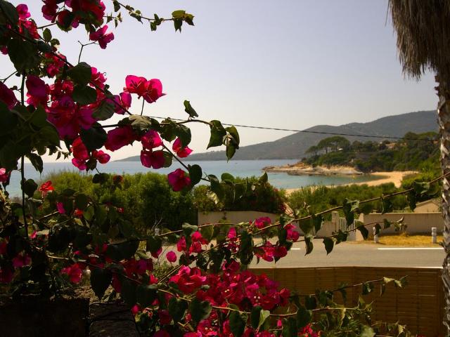 Maison vente à Ajaccio, Coggia
