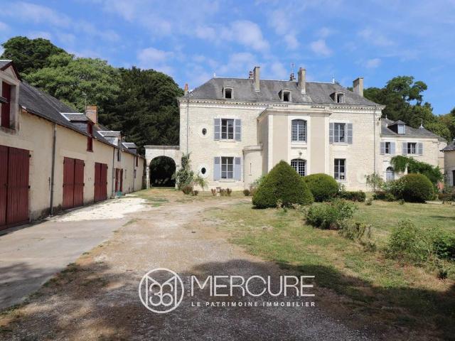 Château vente à Le Blanc