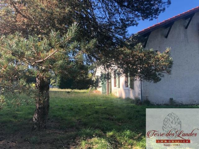 Maison vente à Mont-de-Marsan, Trensacq