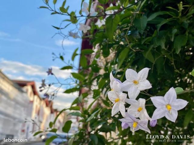 Maison vente à Bayonne, La Bastide-clairence
