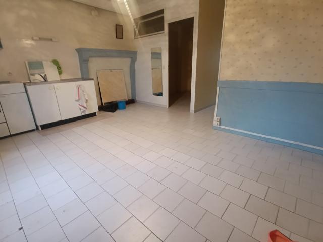 Maison vente à La Flèche, Saint-denis-d'orques
