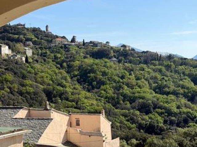 Maison vente à Bastia, Centuri