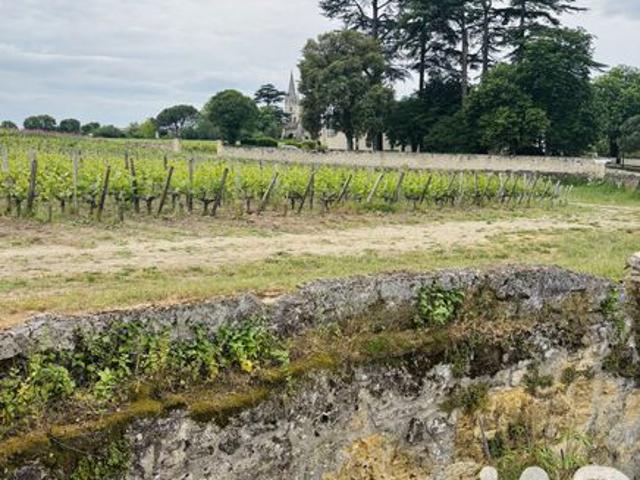 Maison vente à Libourne, Saint-emilion