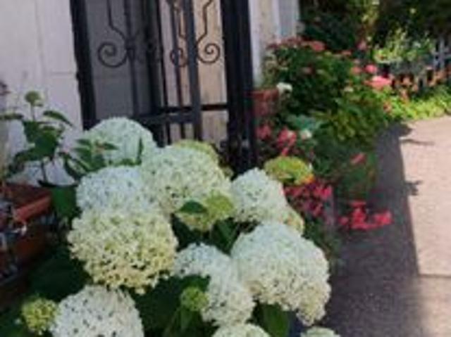 Maison vente à Nogent-sur-Seine, Villenauxe-la-grande