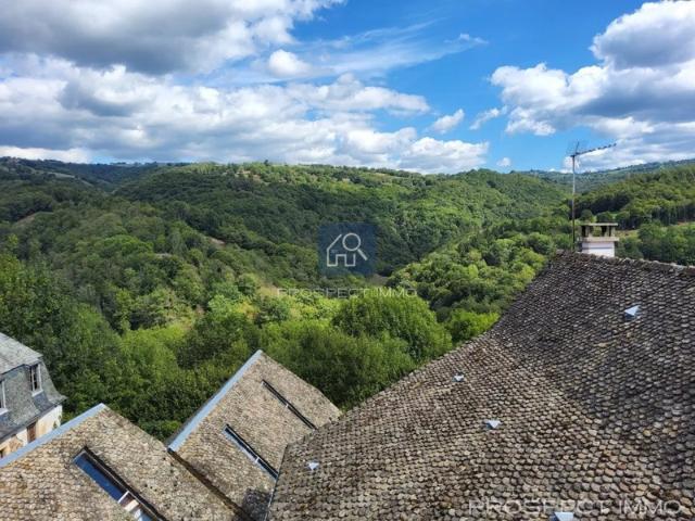 Maison vente à Rodez, Castelnau-de-mandailles