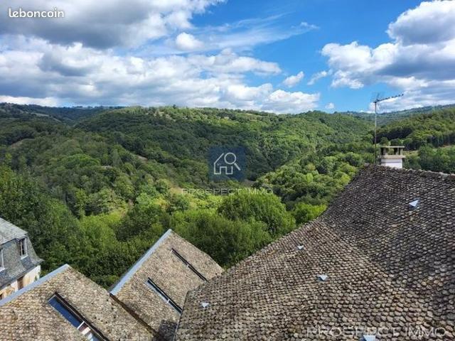 Maison vente à Rodez, Castelnau-de-mandailles