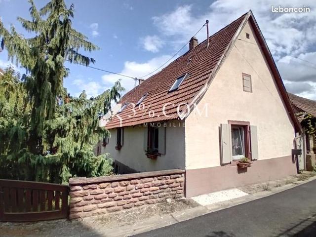 Maison vente à Molsheim, Still
