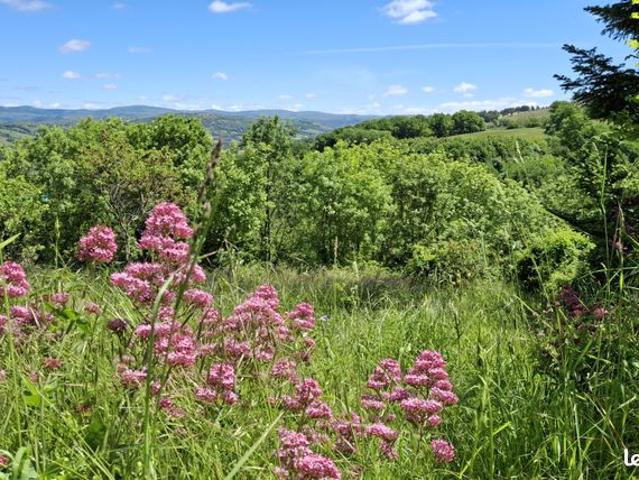 Maison vente à Rodez, Lassouts