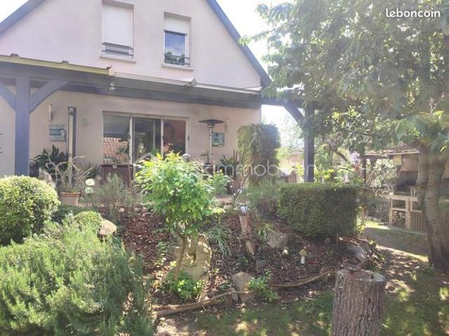 Maison vente à Colmar-Ribeauvillé, Roggenhouse