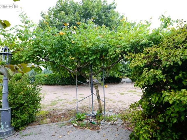 Maison vente à Charolles, Curdin
