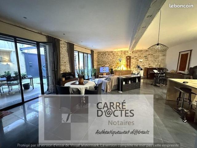 Maison vente à Pau, Vignes